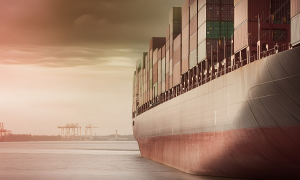 Baggeren en Maritieme dienstverlening